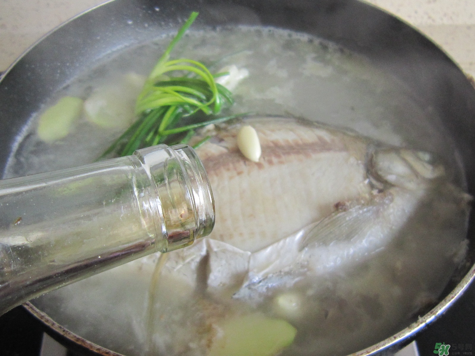 三伏灸可以吃魚嗎？三伏灸可以吃什么魚？