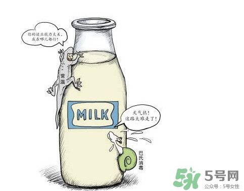 巴氏奶可以加熱嗎？巴氏奶常溫能放多久