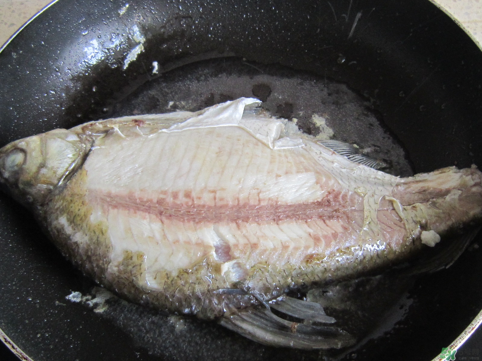 三伏灸可以吃魚嗎？三伏灸可以吃什么魚？