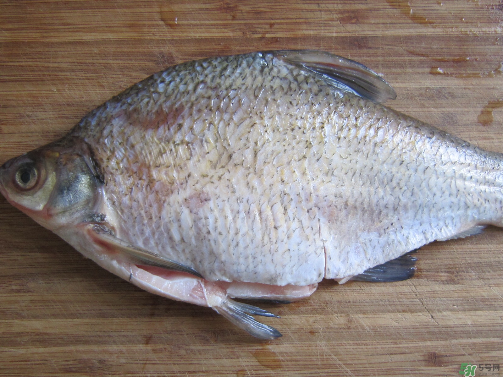 三伏灸可以吃魚嗎？三伏灸可以吃什么魚？