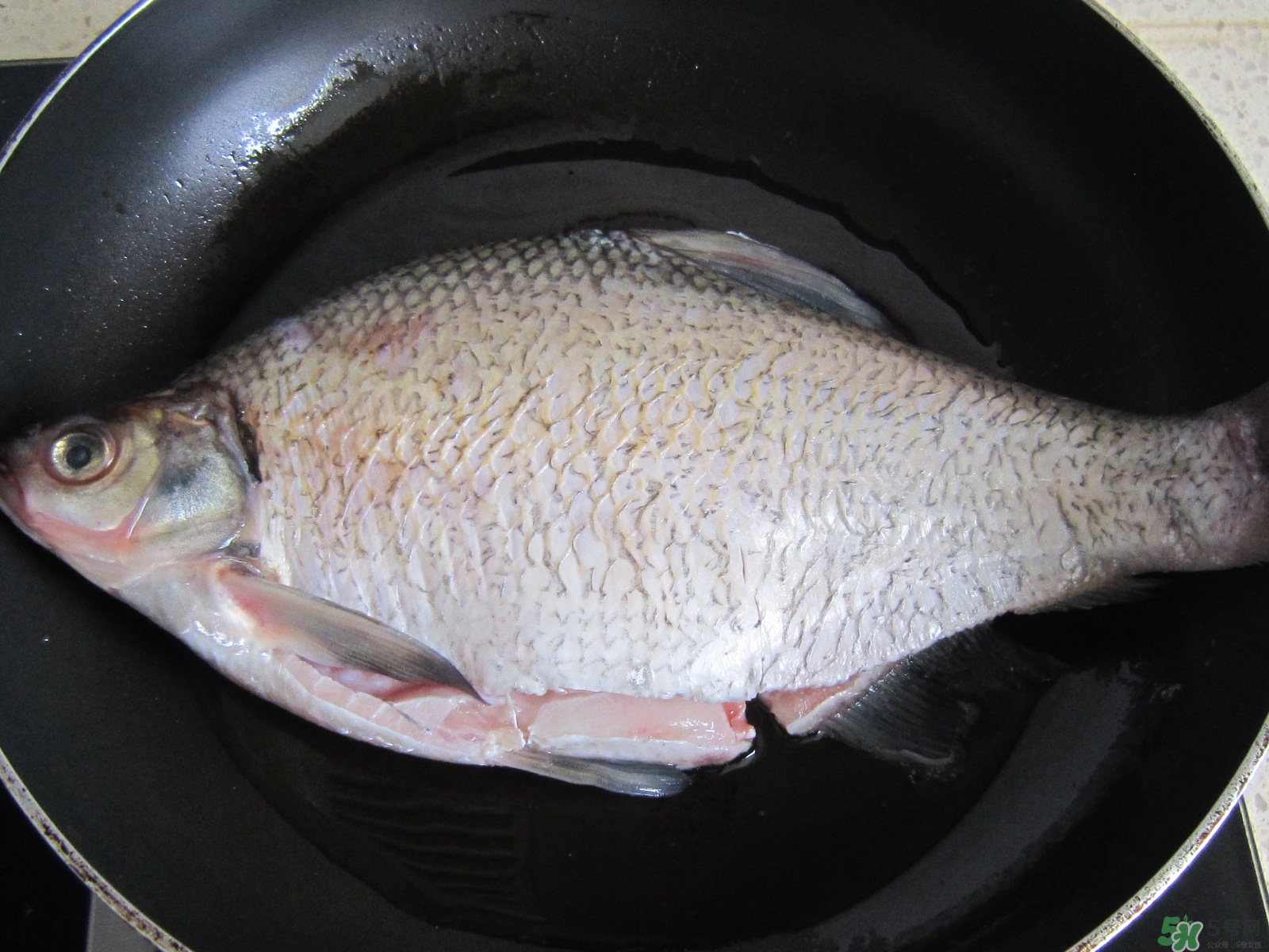三伏灸可以吃魚嗎？三伏灸可以吃什么魚？