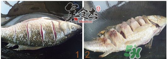 三伏灸可以吃魚嗎？三伏灸可以吃什么魚？