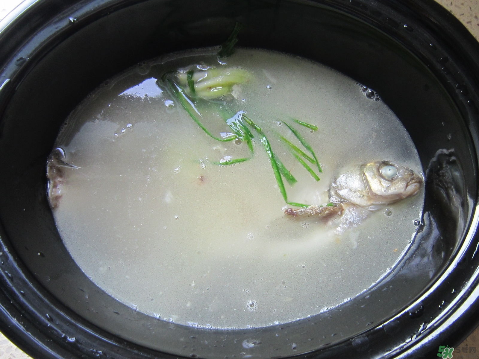 三伏灸可以吃魚嗎？三伏灸可以吃什么魚？
