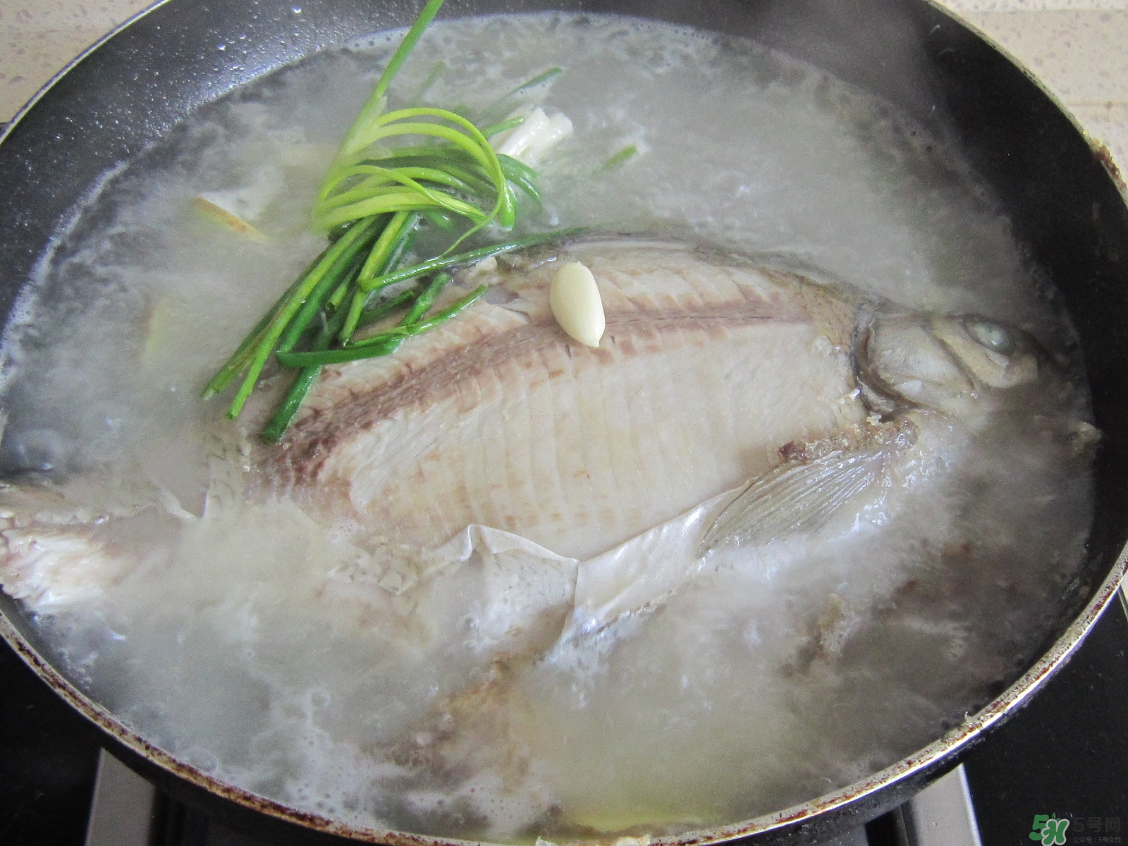 三伏灸可以吃魚嗎？三伏灸可以吃什么魚？