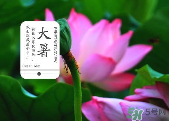 大暑和處暑是什么意思？大暑熱還是處暑熱？