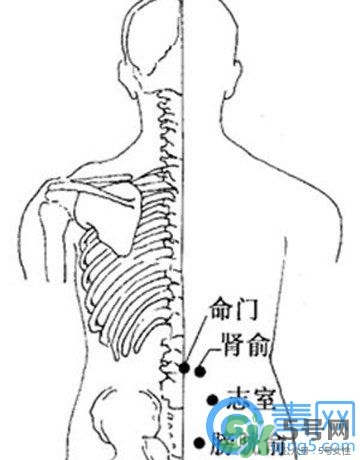 三伏灸可以治腰腿痛嗎？三伏灸治腰腿痛灸哪里》