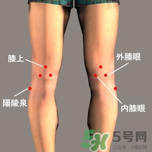 三伏灸可以治腰腿痛嗎？三伏灸治腰腿痛灸哪里》