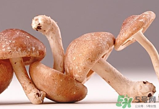 什么病不能吃香菇？香菇不能和什么一起吃