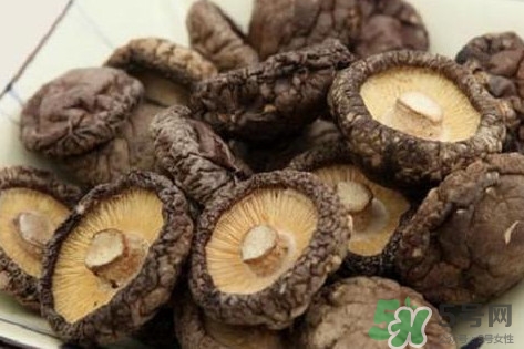 香菇是蘑菇嗎？香菇和蘑菇有什么區(qū)別