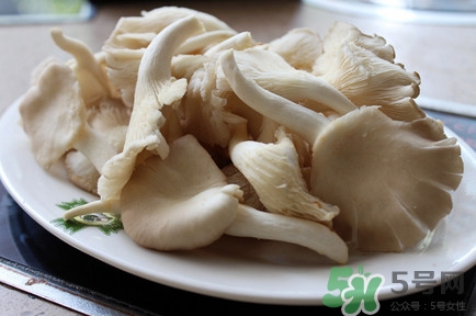 平菇怎么吃最有營養(yǎng)？平菇長白毛還能吃嗎