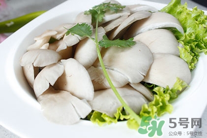平菇怎么吃最有營養(yǎng)？平菇長白毛還能吃嗎