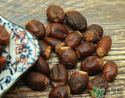 龍眼核能種嗎？龍眼核怎么種盆栽