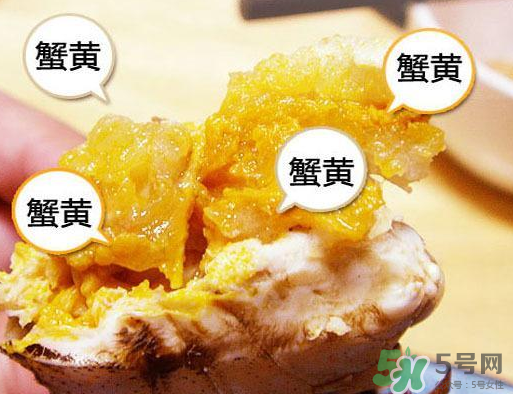 六月黃大閘蟹好吃嗎？六月黃和大閘蟹有什么區(qū)別？