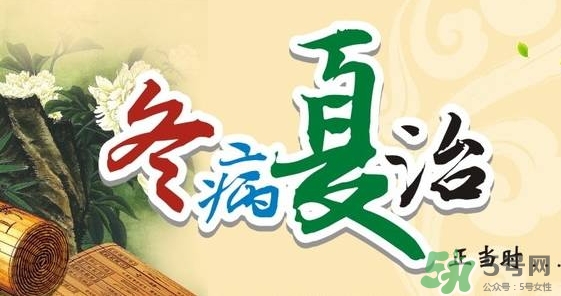 三伏灸要灸幾次？三伏灸要灸多久？