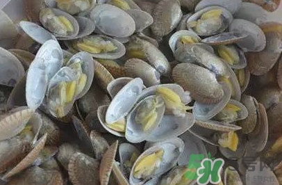 花蛤蜊什么時(shí)候最肥？花蛤蜊怎么挑選