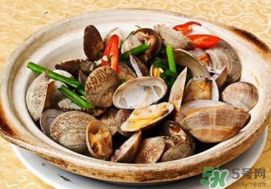 花蛤如何快速吐沙子？花蛤吐沙鹽水比例多少？