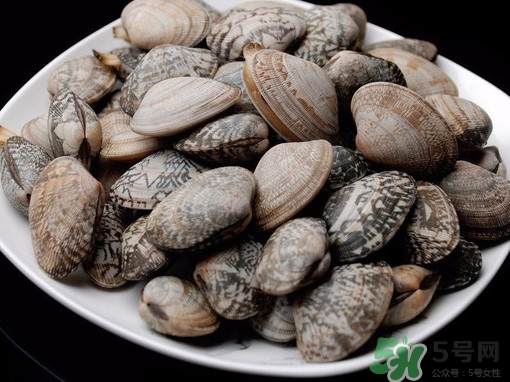 花蛤如何快速吐沙子？花蛤吐沙鹽水比例多少？