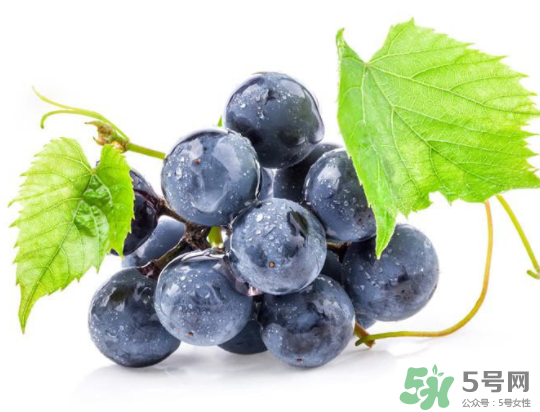 夏黑葡萄為什么掉色？夏黑葡萄怎么會染色？