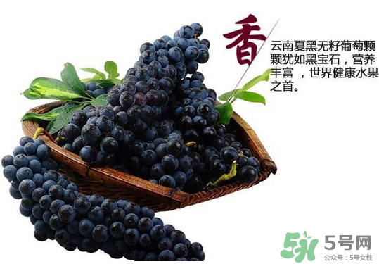 夏黑葡萄怎么保存？夏黑葡萄可以放冰箱嗎？
