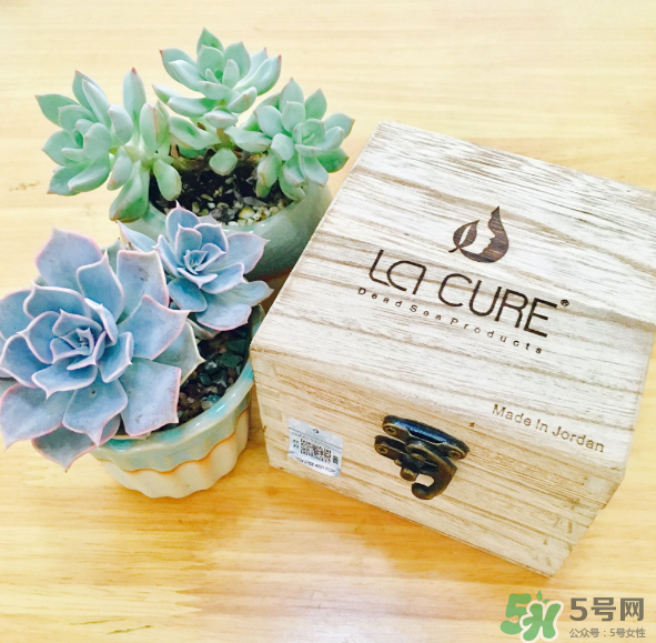 天然死海礦物泥面膜怎么樣？天然死海礦物泥面膜好用嗎？