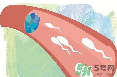 男性避孕藥什么牌子好？男性避孕藥多少錢一盒？