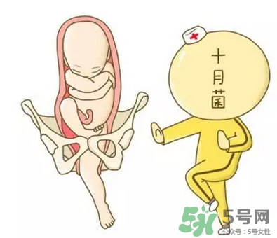 胎位不正能順產(chǎn)嗎？胎位不正怎么辦？