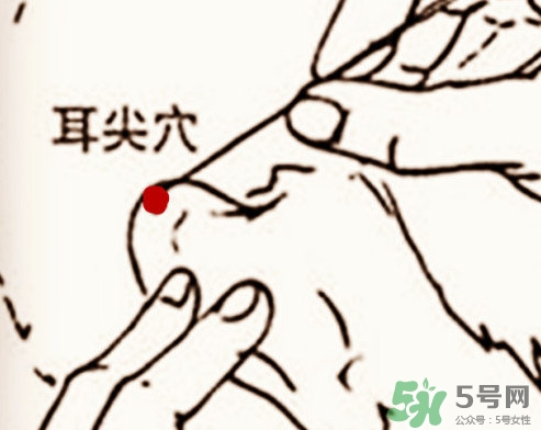 什么是放血療法？放血療法能治什么病