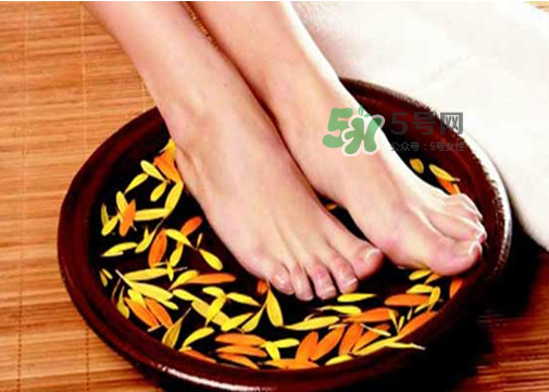 三伏天能用姜泡腳嗎？三伏天用姜泡腳好嗎？