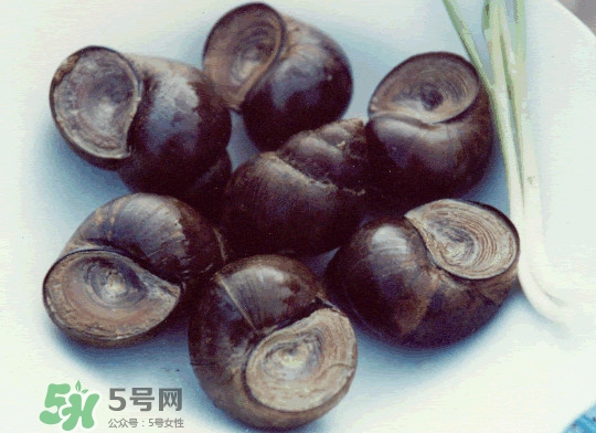 田螺是發(fā)物嗎？田螺是海鮮嗎