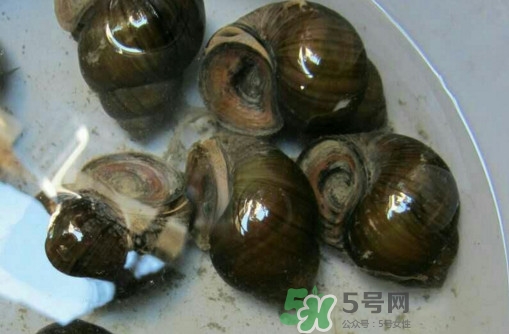 田螺里面都可以吃嗎？田螺不能和什么同食