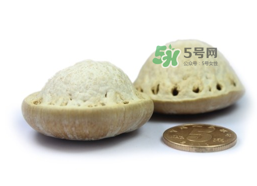 風(fēng)流果泡酒要不要敲碎？壯陽果泡水要不要敲碎？