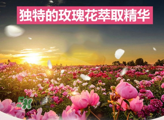 資生堂玫瑰園沐浴露怎么樣？資生堂玫瑰園沐浴露多少錢