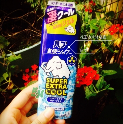 花王kao冰片沐浴露怎么樣？花王冰片沐浴露哪款好？