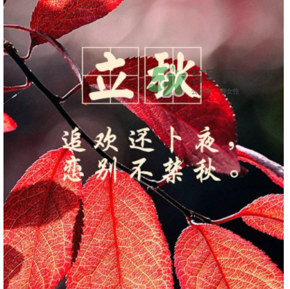 立秋后就是秋天了嗎？立秋后就涼快了嗎？
