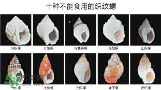 哪些人不能吃田螺？哪些田螺不能吃