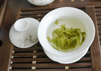 碧螺春是涼性的嗎？碧螺春是溫性還是涼性
