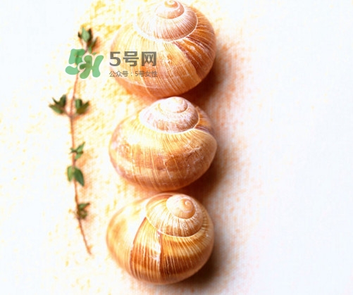 田螺是寒性的嗎？田螺煮多久殺死寄生蟲
