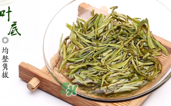 碧螺春泡出的茶是什么顏色？泡碧螺春水溫多少度最好