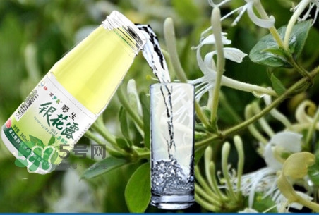 金銀花露是涼性的嗎？喝金銀花露有什么好處