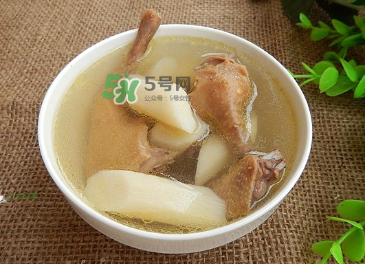 三伏天能吃鴿子嗎？三伏天能喝鴿子湯嗎？