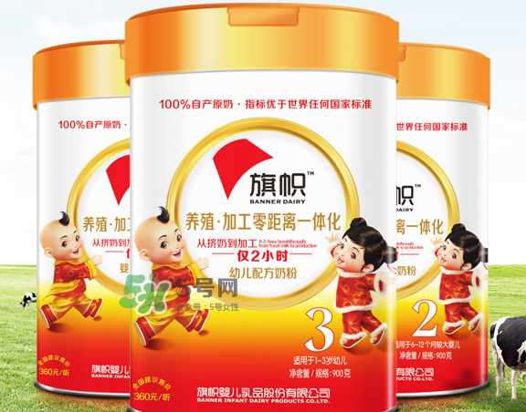 旗幟奶粉怎么樣？旗幟奶粉好不好？