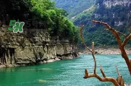 漂流需要準(zhǔn)備什么東西？漂流哪里最好玩？