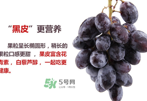 紅提好吃還是黑提好吃？黑提對身體有什么好處