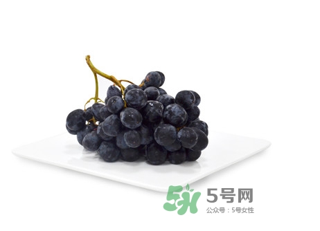 黑提有籽嗎？黑提是什么季節(jié)的水果
