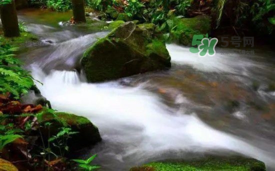漂流需要準(zhǔn)備什么東西？漂流哪里最好玩？