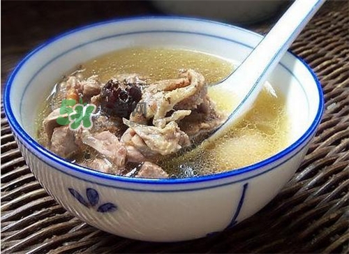 三伏天能吃鴿子嗎？三伏天能喝鴿子湯嗎？