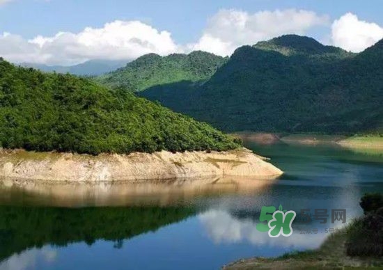 漂流需要準(zhǔn)備什么東西？漂流哪里最好玩？