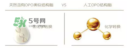 奶粉里面的OPO是什么？opo是天然的還是后期添加的？