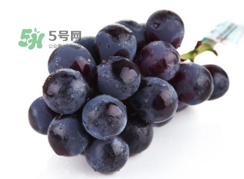 巨峰葡萄是酸性還是堿性？巨峰葡萄是堿性的嗎？
