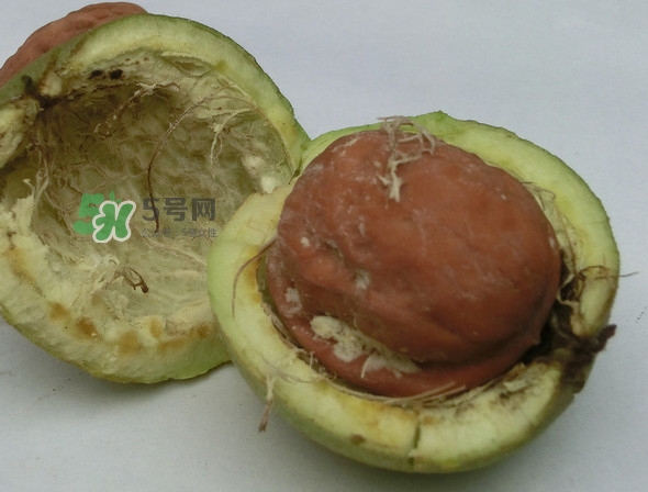 青皮核桃是怎么變成干核桃的？吃核桃為什么有酒味
